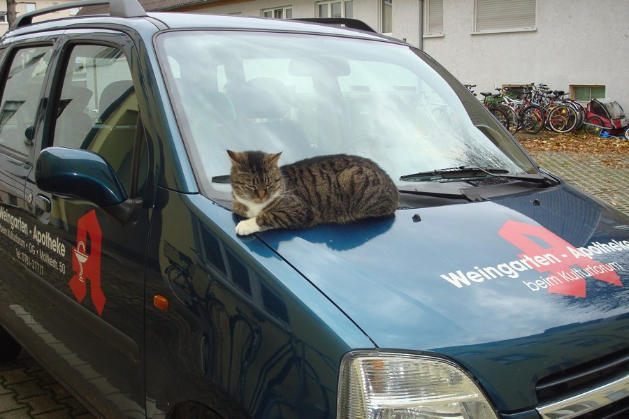 Unser Boten-Auto. Für Sie unterwegs.