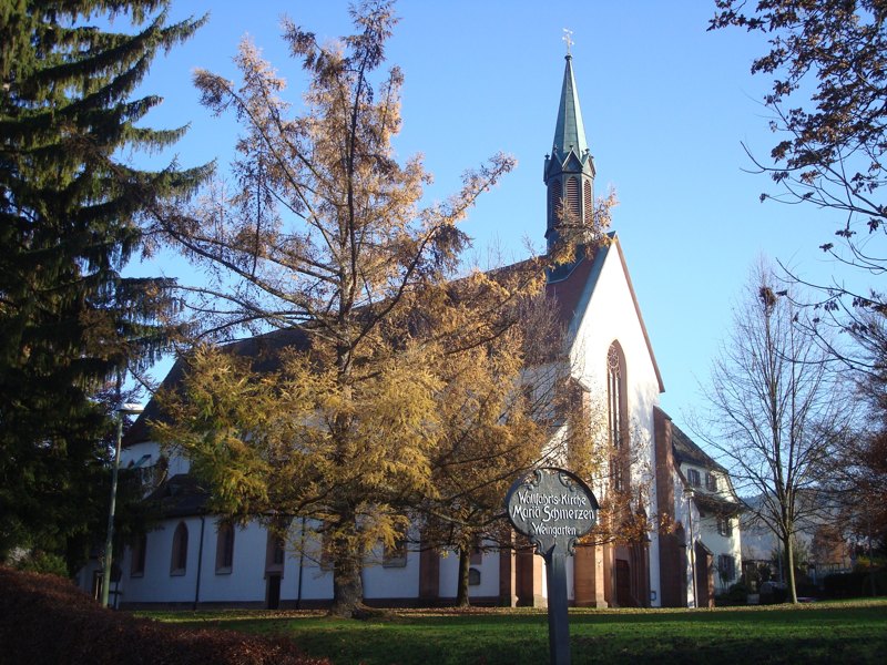 Die Weingarten-Kirche. Unser Logo.